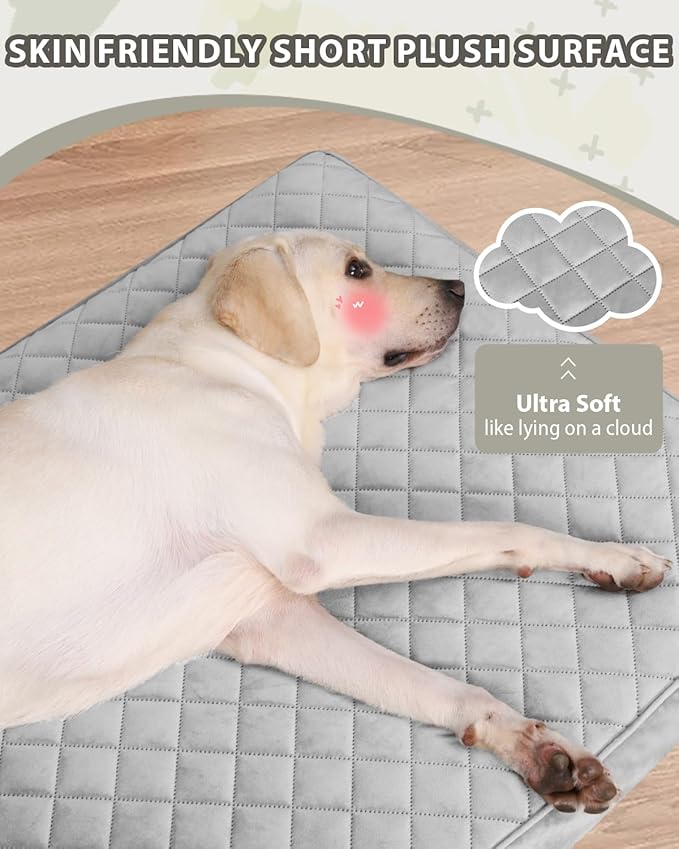 NUPIDA Orthopedic XL Dog Beds Large Sized Dog Waterproof Bed with Removable Washable Cover and Non-Slip Bottom, Quilting Pet Mattress for Crate, 41x27 Inch, Light Gray
