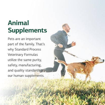 Standard Process Inc. Whole Body, Multisystem Support Supplement for Canines - Nutritional Powder for Daily Health Maintenance - 100 g
