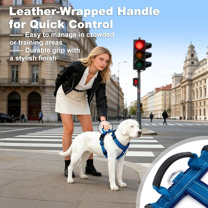 No Pull Dog Harness with Handle, Soft Mesh Padded Adjustable for Small Medium Large Dogs | Reflective Easy Walk Harness with Front Clip for Training, Running & Outdoor (Royal Blue, M)