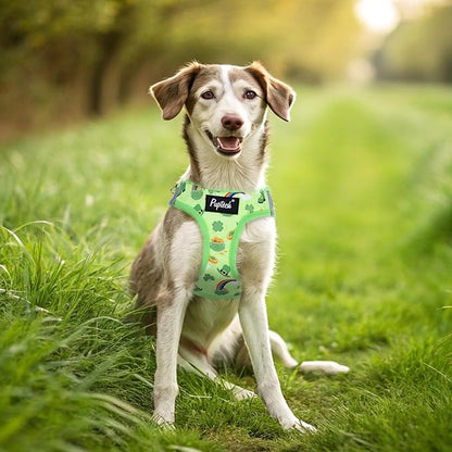 PUPTECK Dog Harness and Leash Set for Small Medium Dogs No Pull Step-in Soft Mesh Puppy Cat Vest Harnesses Reflective at Night, St. Patrick's Green, M