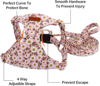 CHEDE No Pull Floral Pattern Dog Harness- Lightweight, Soft, Adjustable Small Harness and Leash Set, Suitable for Puppy Small and Medium-Sized Dog (M, Pink Daisy)
