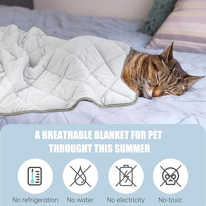Leekalos Dog Cooling Mat,Pet Cooling Pads for Dogs Blanket,Summer Cooling Bed for Cats Blanket,Portable Pet Cooling Cushion for Home & Outdoor，Keep Cooling for Pets (Cool Grey, Small(22"x28"))