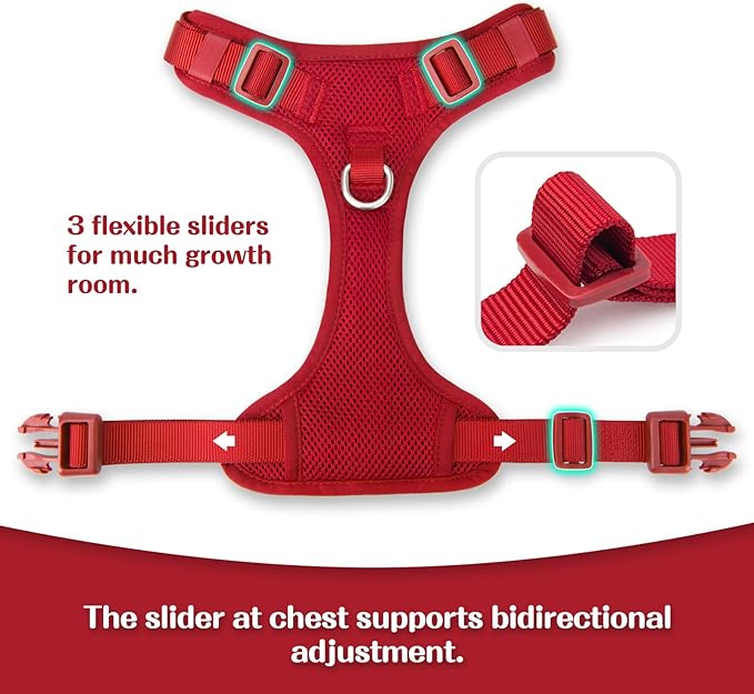 No Pull Dog Harness for Small Medium Large Dogs - Adjustable 2 Layer Mesh Dog Vest with Dual Clip, Escape Proof, Quick Release, Lightweight Breathable Mesh for Walking Hiking (Burgundy Red,L)