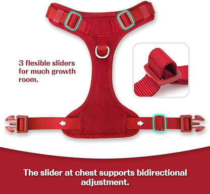 No Pull Dog Harness for Small Medium Large Dogs - Adjustable 2 Layer Mesh Dog Vest with Dual Clip, Escape Proof, Quick Release, Lightweight Breathable Mesh for Walking Hiking (Burgundy Red,L)
