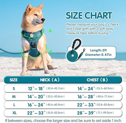 PoyPet No Pull Dog Harness and 5 Feet Leash Set, Release on Neck Reflective Adjustable Pet Vest, Front & Back 2 D-Ring and Soft Padded Pet Harness with Handle for Small to Large Dogs(Tumalo Teal,L)