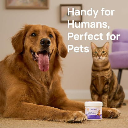 HICC Pet Teeth Cleaning Wipes for Dogs & Cats, Remove Bad Breath by Removing Plaque and Tartar Buildup No-Rinse Dog Finger Toothbrush, Disposable Gentle Cleaning & Gum Care Pet Wipes, 100 Counts