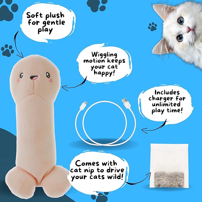 D&J Floppy Buddy Electric Interactive Moving cat Kicker Catnip Toy for Indoor Cats Pets Kittens Dogs