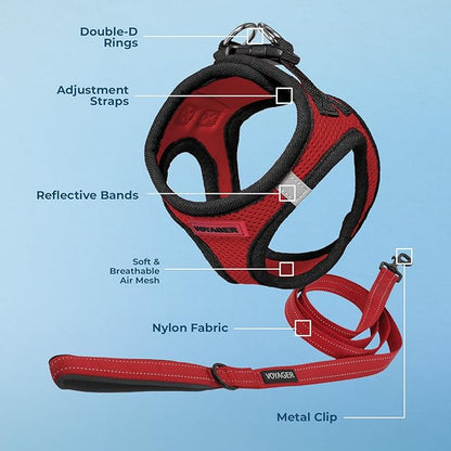 Best Pet Supplies Voyager Step-in Air All Weather Mesh Harness and Reflective Dog 5ft Leash Combo with Neoprene Handle, for Small, Medium and Large Breed Puppies - Set (Red/Black Trim), Large