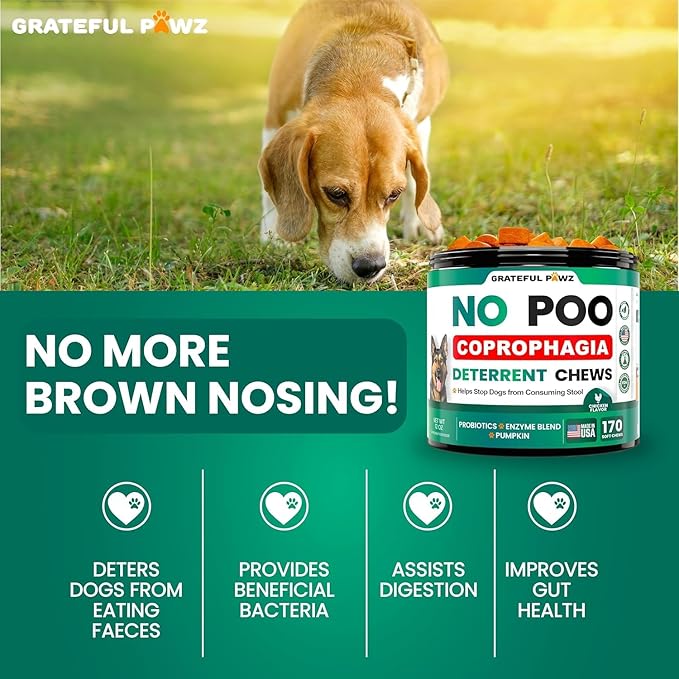 Grateful Pawz No Poo Chews for Dogs - 170 Chews - Coprophagia Stool Eating Deterrent for Dogs Supplement - Prevent from Eating Poop - Probiotics & Digestive Enzymes - Advanced Strength - Made in USA