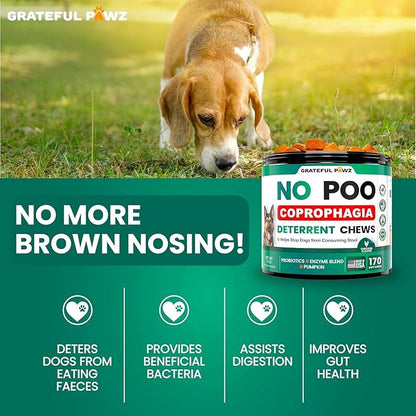 Grateful Pawz No Poo Chews for Dogs - 170 Chews - Coprophagia Stool Eating Deterrent for Dogs Supplement - Prevent from Eating Poop - Probiotics & Digestive Enzymes - Advanced Strength - Made in USA