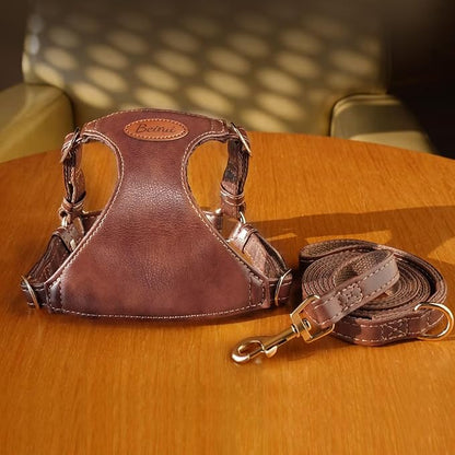 Beirui ‌Stylish PU Leather Dog Harness‌ and Leash Set for Small Dogs, ‌Adjustable Step in Puppy Harness with Breathable Mesh Lining and Durable Metal Buckle for Walking Traveling(Brown,XS)