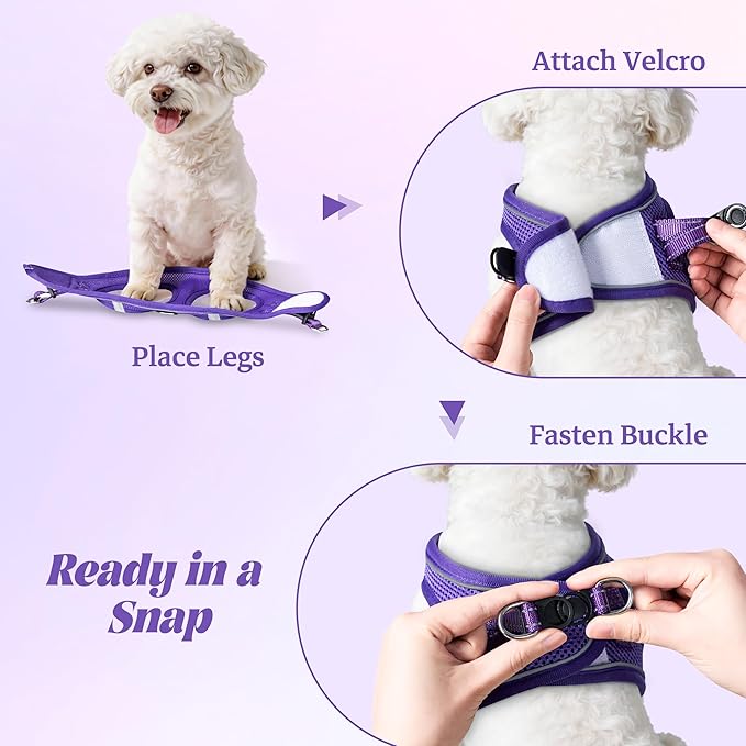 YIMEIS Dog Harness and Leash Set, No Pull Soft Mesh Pet Harness, Reflective Adjustable Puppy Vest for Small Medium Large Dogs, Cats (Purple, Small (Pack of 1)