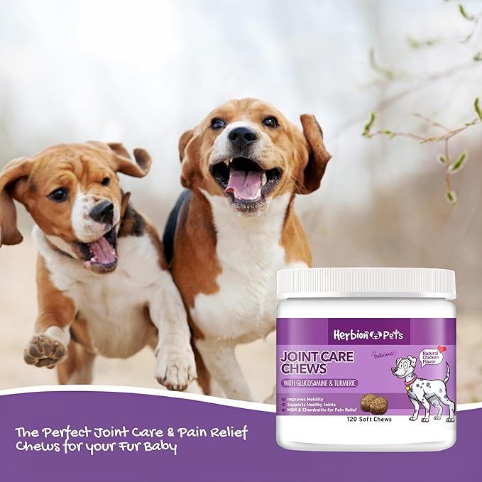 HERBION Pets Joint Care Chews with Glucosamine & Turmeric, 120 Soft Chews, MSM & Chondroitin for Pain Relief, Improves Mobility, Supports Healthy Joints, Made in USA, for Dogs 12 Weeks+, Pack of 1