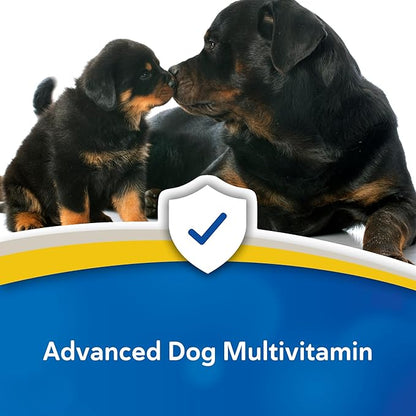 Doc Roy's Daily Care Extra Canine, Advanced Multivitamin Supplement for Dogs, Supports Energy, Immune, Muscle, Bone & Brain Health, Provides Vitamins A C D3 E B Complex, Iron Zinc, 365ct Tablets