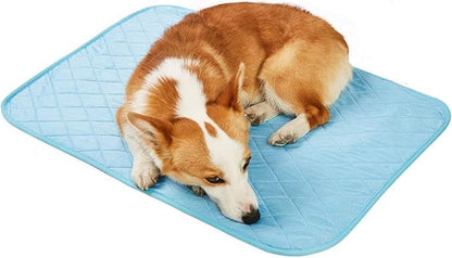 SEIS Dog Ice Pad Ice Silk Cats Kennel Mat Pet Cooling Pad Summer Cool Bamboo Mat Breathable Pad (Solid Gray, L