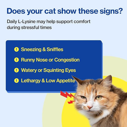 Doctor By FELYSIN L-Lysine for Cats Lickable Immune Support Supplement Allergy Relief, Sneezing, Runny Nose, Cold, Watery Eyes Respiratory Health with Beta-Glucan & Taurine – 30 Individually Packaged