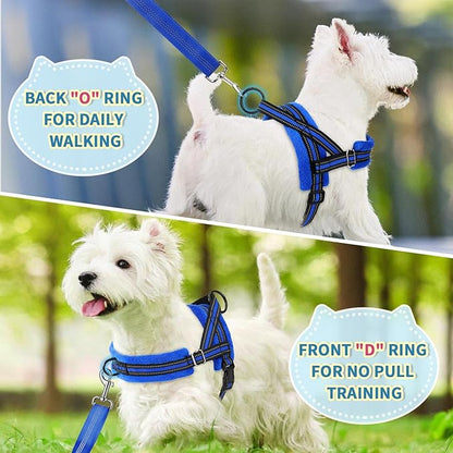 Lukovee No Pull Dog Harness and Leash Set, Soft Padded Small Dog Harness, Neck & Chest Adjustable Reflective Vest Puppy Harness with 4ft Lightweight Anti-Twist Dog Leash for Small Dogs (S, Blue)
