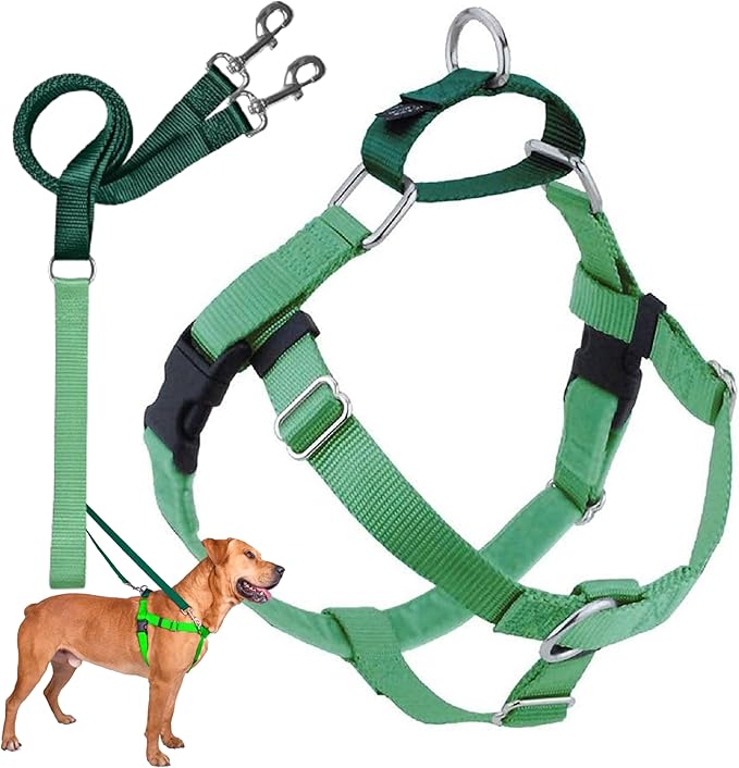 2 Hounds Design Freedom No Pull Dog Harness, Adjustable Harness and Leash Set, Easy Walking & Comfortable Control, Fits Small, Medium & Large Dogs, Solid Colors, Made in USA, 1" MD, Neon Green