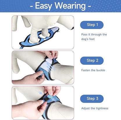 Dog Harness for Small Dogs and Leash Set, Honeycomb Grid, Reflective Lightweight Harness & Anti-Twist Pet Lead Multi Color, Size: XS-S-M. (S, Marine Blue)