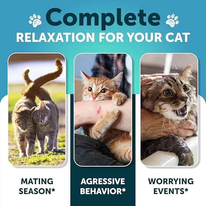 Cat Calming Treats - 2250 mg Hemp Oil per Pack - Stress & Anxiety Relief - Calming Cat Treats with Melatonin - Support Supplement for Vet Visits, Travel, Separation Anxiety, Fireworks - 135 Soft Chews