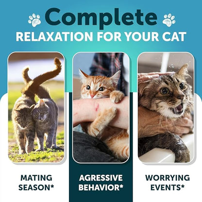 Cat Calming Treats - 2250 mg Hemp Oil per Pack - Stress & Anxiety Relief - Calming Cat Treats with Melatonin - Support Supplement for Vet Visits, Travel, Separation Anxiety, Fireworks - 135 Soft Chews