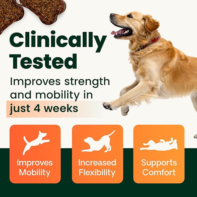 VetriScience Ultimate Strength Healthy Hip & Joint Chews, GlycoFlex Glucosamine,Chondroitin & Green-Lipped Mussel Support Supplement for Dogs, Soothe Joint Discomfort,Duck,60 Count (Pack of 2)