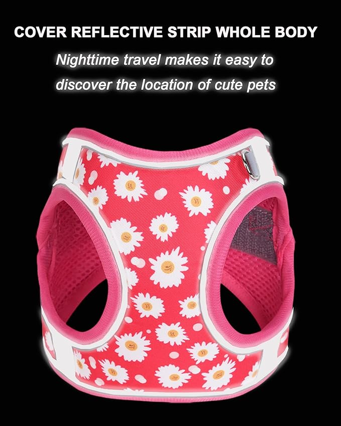 XXS ROSEO Flower Pattern Dog Harness and Leash Set,No Escape Puppy Harnesses for Training Walking，Breathable Adjustable Puppy Vest for Small Medium Dogs, Cats (ROSEO, XXS)