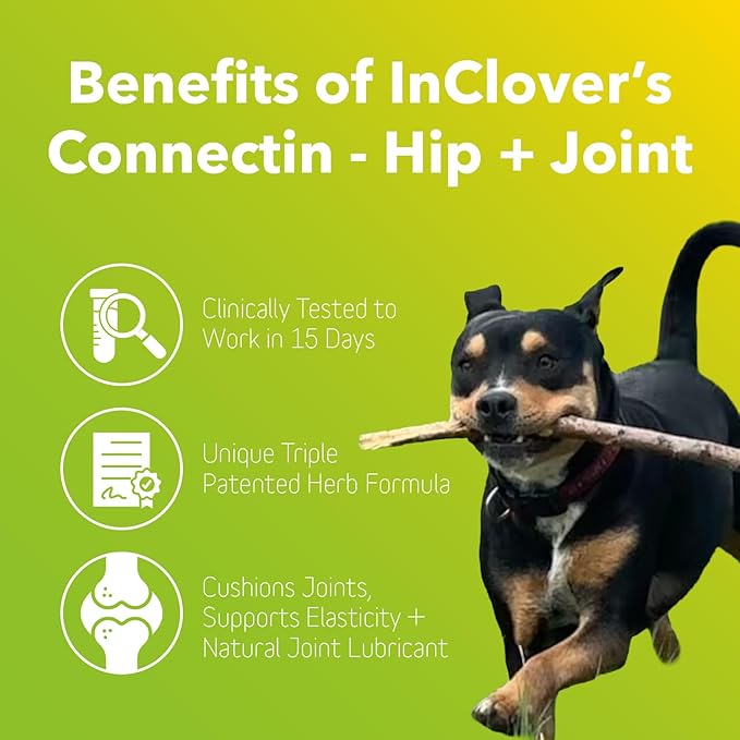 InClover Connectin Natural Hip & Joint Supplement for Dogs with Glucosamine, Chondroitin & Hyaluronic Acid - Soft Chew for Dog Mobility, Comfort & Active Lifestyle Support, 20 Count