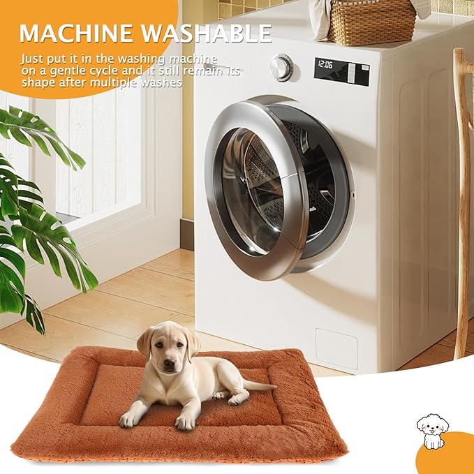 Reversible Dog Bed Mat with Plush and Corn Velvet,Soft Warm Pet Cushion, Dual Purpose Washable Sleeping Mattress Bed for Small Medium Large Dog and Cat XB004 (48"*30", Orange)