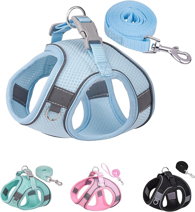 Solmoony Dog Harness for Small Medium Dogs No Pull, Puppy Harness and Leash Set, Puppy Harness, Step in Harness for Small Dogs, mesh Dog Harness. (Bule, XXS)
