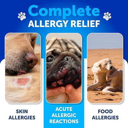 Probiotics for Dogs - Support Gut Health, Itchy Skin, Allergies, Immunity, Yeast Balance - Dog Probiotics and Digestive Enzymes with Prebiotics - Reduce Diarrhea, Gas - 180 Probiotic Chews for Dogs