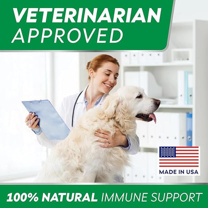 StrellaLab Dog Allergy Relief & Anti Itch Support Chews w/Omega 3: Real Ingredients, Real Taste! Skin & Coat Immune Supplement w/Fish Oil, Pumpkin & Enzymes — Developed by Experts - Made in USA -120Ct
