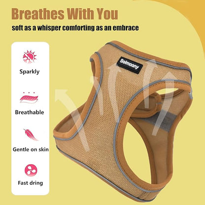 Solmoony Sparkly Medium Dog Harness and Leash Set, Step in Soft Light Puppy Vest, Breathable Reflective Pet Harness for Walking, Puppy Harness for Medium Dogs Cats (Brown, L)
