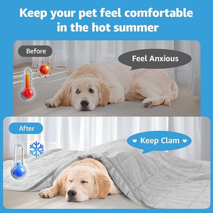 Dog Cooling Blanket, 0.4 Q-MAX Cooling Blanket For Large Dogs Washable, Cool To Touch Dog Blankets For Bed Cover, Soft Lightweight Cooling Dog Blanket Help Your Pet Sleep Well In Summer (43"×55"/Grey)