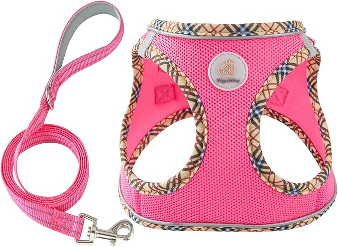 Hipubby Dog Harness Small Sized and Leash Set, No Pull Soft Mesh Puppy Vest, Reflective Breathable Lightweight Pet Harness, Harness for Small Medium Dogs and Cats - Rose Red/Khaki Trim, L