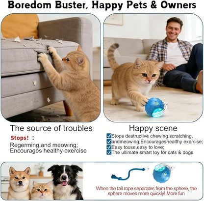 2PCS Interactive Cat Toys Ball, Tiny Fetch Interactive Dog Cat Toy Ball - 360° Automatic Scrolling with Birdsong, Smart Obstacle Avoidance, Rechargeable Boredom Buster for Pets (Blue+Red)