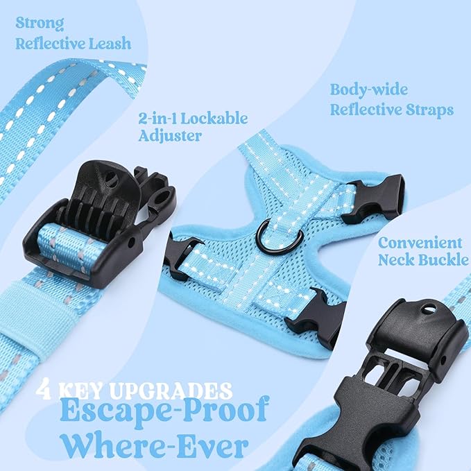 rabbitgoo Cat Harness and Leash, Escape Proof Vest with 3 Adjustable Buckles, Soft Comfortable Kitten Harness, Easy to Wear, Reflective for Safe Outdoor Walking, Small, Sky Blue
