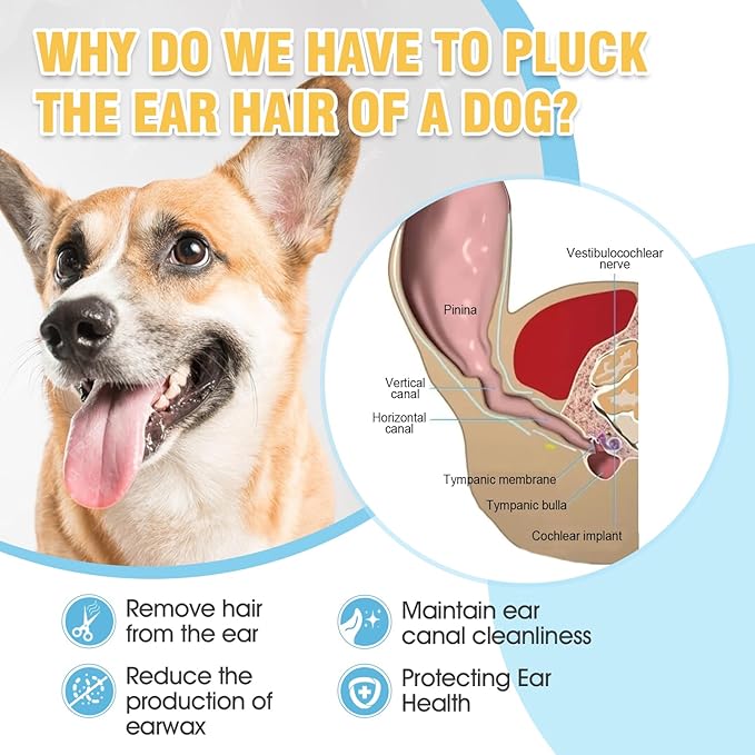 Dog Ear Care Kit - Professional Ear Powder for Hair Removal (42g) with Grooming Hemostat - Effective Solution for Smelly Ears, Wax Buildup