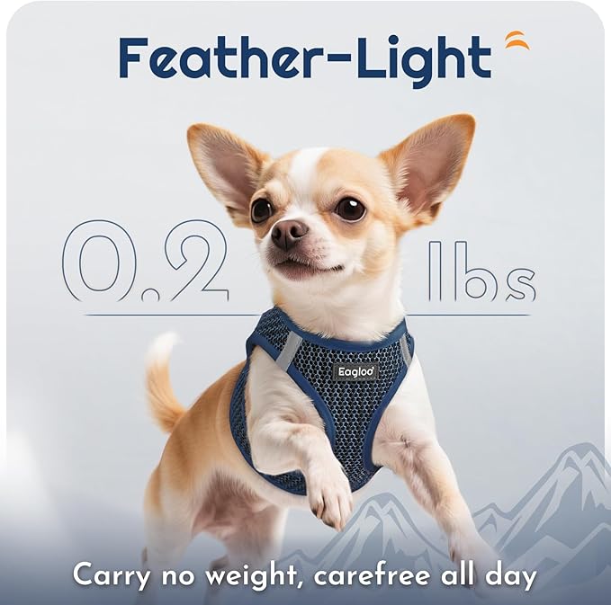 Eagloo Small Dog Harness and Leash Set, Step in Puppy Vest with Breathable Soft Mesh, Walking Reflective Pet Harness for Medium Small Dogs, Navy Blue, L