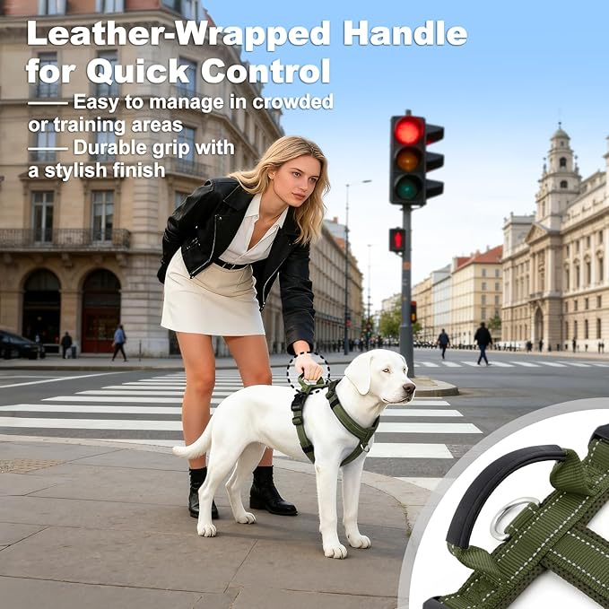 No Pull Dog Harness with Handle, Soft Mesh Padded Adjustable for Small Medium Large Dogs | Reflective Easy Walk Harness with Front Clip for Training, Running & Outdoor (Ranger Green, S)