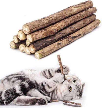 WoLover 10 PCS Cat Catnip Sticks, Natural Matatabi Silvervine Sticks - Cleaning Teeth Molar Tools Kitten Chew Toy Natural Catnip Cats Toy