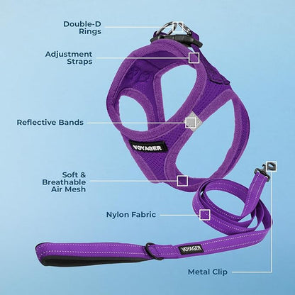 Best Pet Supplies Voyager Step-in Air All Weather Mesh Harness and Reflective Dog 5ft Leash Combo with Neoprene Handle, for Small, Medium and Large Breed Puppies - Set (Purple), Large