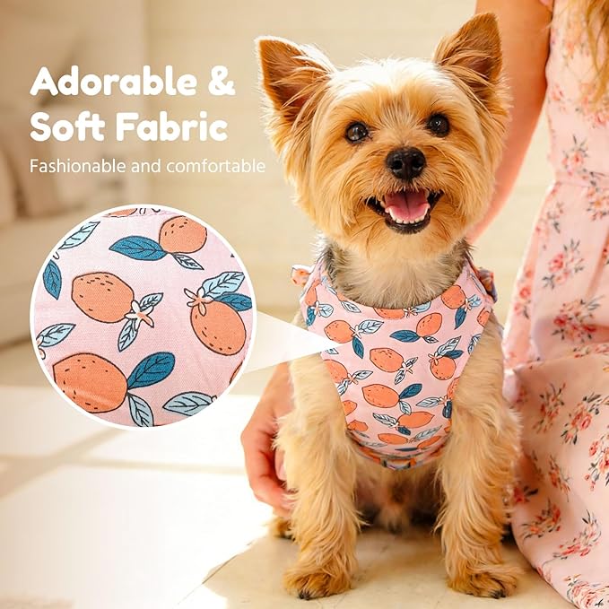 BAEJMJK Dog Harness and Leash Set with Bow Knot No Pull Pet Floral Harness with D-Ring Soft Mesh Dog Harness Vest Set Escape Proof Princess Puppy Harness for Small Girl Dogs Cats（Orange L）