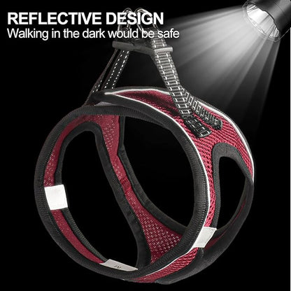 Dog Harness for Small Dogs and Leash Set, Honeycomb Grid, Reflective Lightweight Harness & Anti-Twist Pet Lead Multi Color, Size: XS-S-M. (XS, Deep Purple)