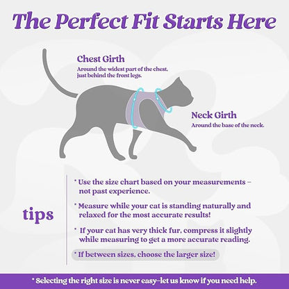 rabbitgoo Cat Harness and Leash Set for Walking Escape Proof, Adjustable Soft Kittens Vest with Reflective Strip for Cats, Comfortable Outdoor Vest, Purple, XL