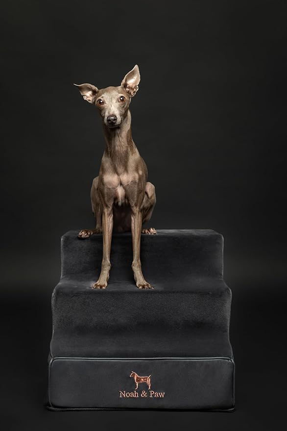 Noah & Paw Dog Stairs, Dog Ramp for Bed (16" Extra Wide) Pet Stairs for High Bed, Design to Fit Small and Large Breeds, Durable 3 Pet Steps for Couch (35 Foam Density) Leather Collection