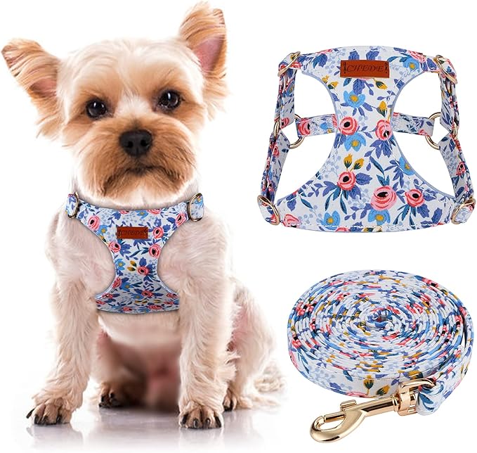 CHEDE No Pull Floral Pattern Dog Harness- Lightweight and Soft Harness, Adjustable Small Dog Harness and Leash Set, with Dog Leash, Suitable for Puppy Small and Medium-Sized Dog (XS, Blue Rose)