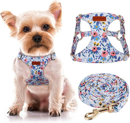 CHEDE No Pull Floral Pattern Dog Harness- Lightweight and Soft Harness, Adjustable Small Dog Harness and Leash Set, with Dog Leash, Suitable for Puppy Small and Medium-Sized Dog (XS, Blue Rose)