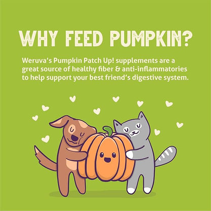 Weruva Pumpkin Patch Up! Pumpkin Pumpkin, What's Your Function? Variety Pack for Dogs & Cats, 2.8oz Pouch (Pack of 12)