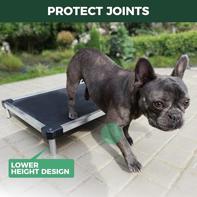 FXW TitanNest Chew-Proof Elevated Dog Bed, Raised Cot for Indoor/Outdoor/Camping Use, Durable & Waterproof Cooling Pet Bed for Extra-Small Dogs, 29.0" L x 18.0" W x 4.5" H, Black